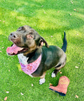 Load image into Gallery viewer, Brown Classic Country | Cooling Bandana