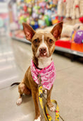 Load image into Gallery viewer, Pretty in Pink Country | Cooling Bandana