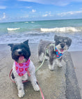 Load image into Gallery viewer, Signature Pink DOGS BEFORE DUDES | Cooling Bandana