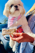 Load image into Gallery viewer, Pretty in Pink Cabana | Cooling Bandana
