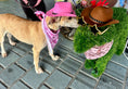 Load image into Gallery viewer, Pretty in Pink Country | Cooling Bandana