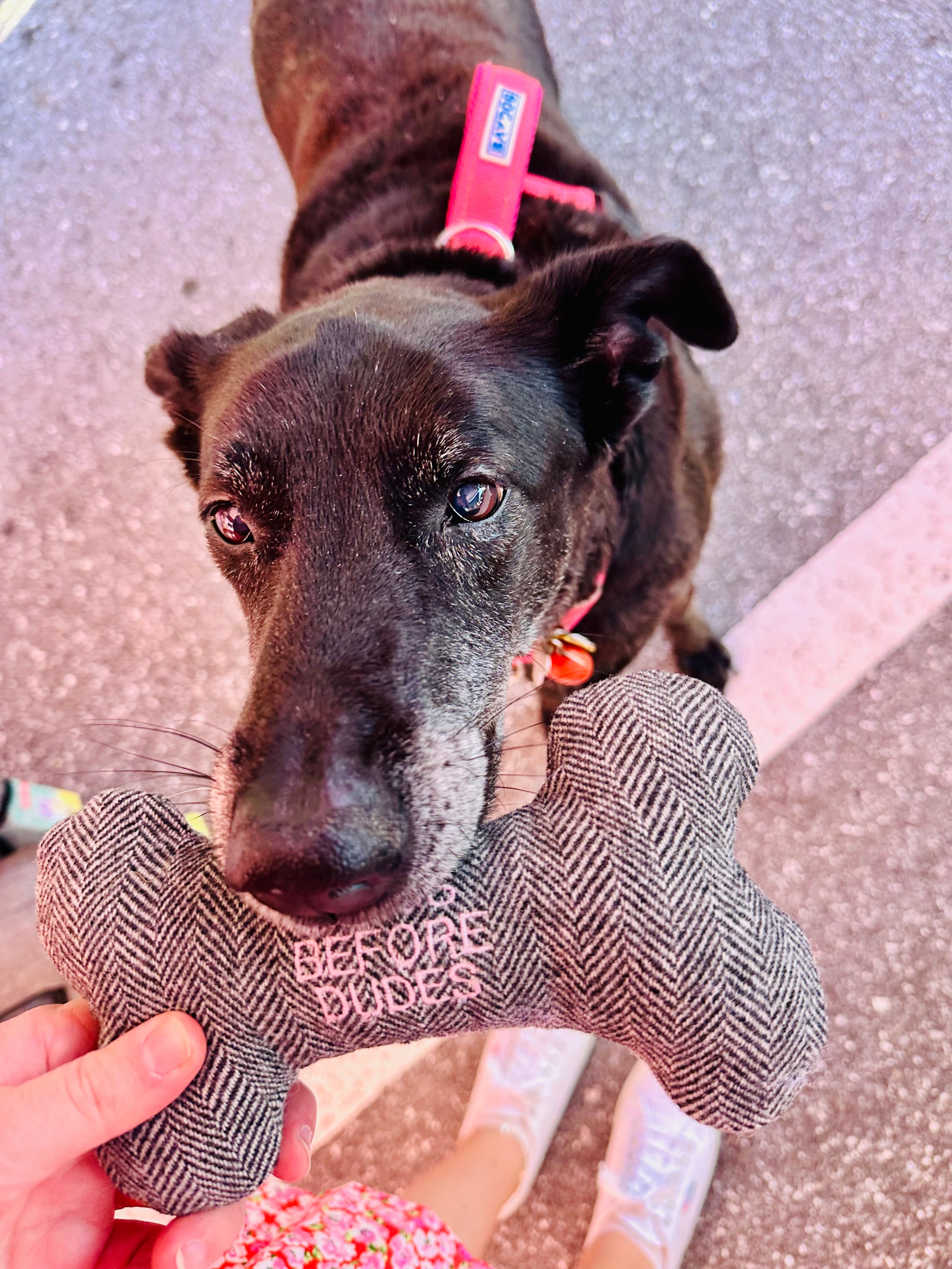 DOGS BEFORE DUDES | Embroidered Dog Bone Toy