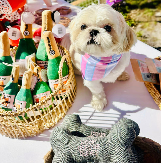 Pretty in Pink Cabana | Cooling Bandana