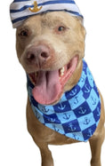 Load image into Gallery viewer, Nautical Anchors | Bandana

