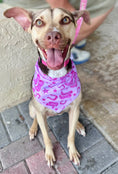 Load image into Gallery viewer, Pretty in Pink Country | Cooling Bandana
