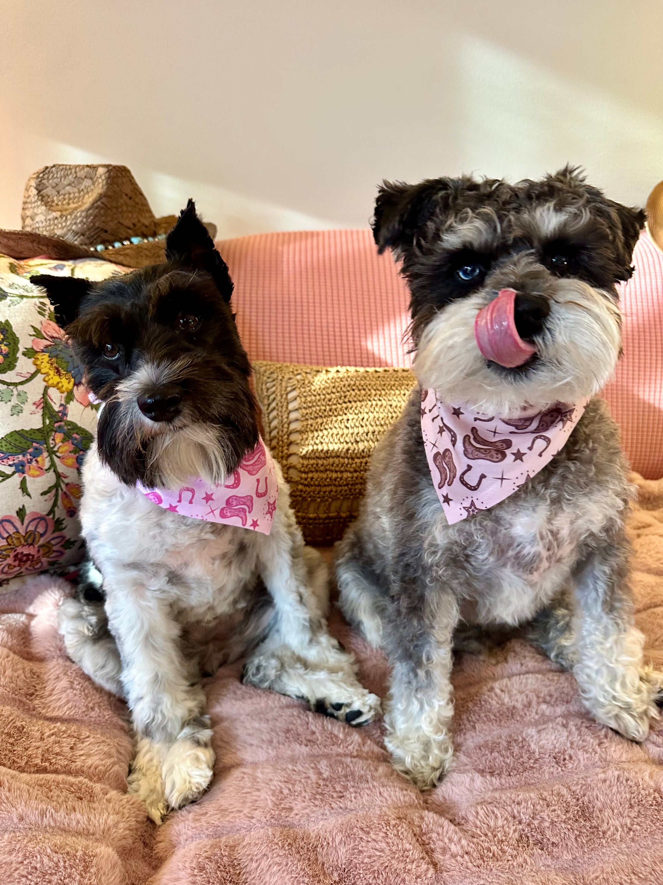 Pretty in Pink Country | Cooling Bandana