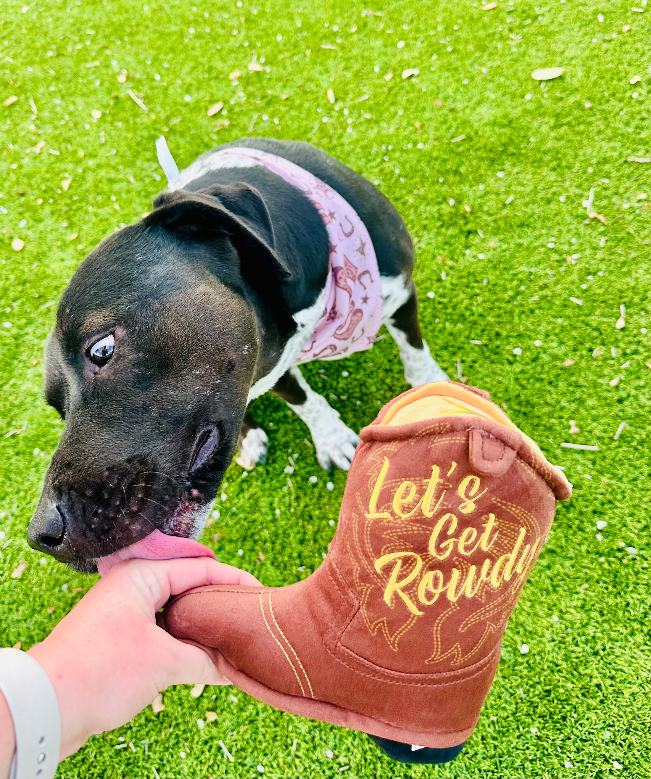 Brown Classic Country | Cooling Bandana