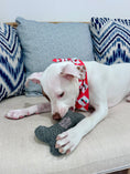 Load image into Gallery viewer, DOGS BEFORE DUDES | Embroidered Dog Bone Toy
