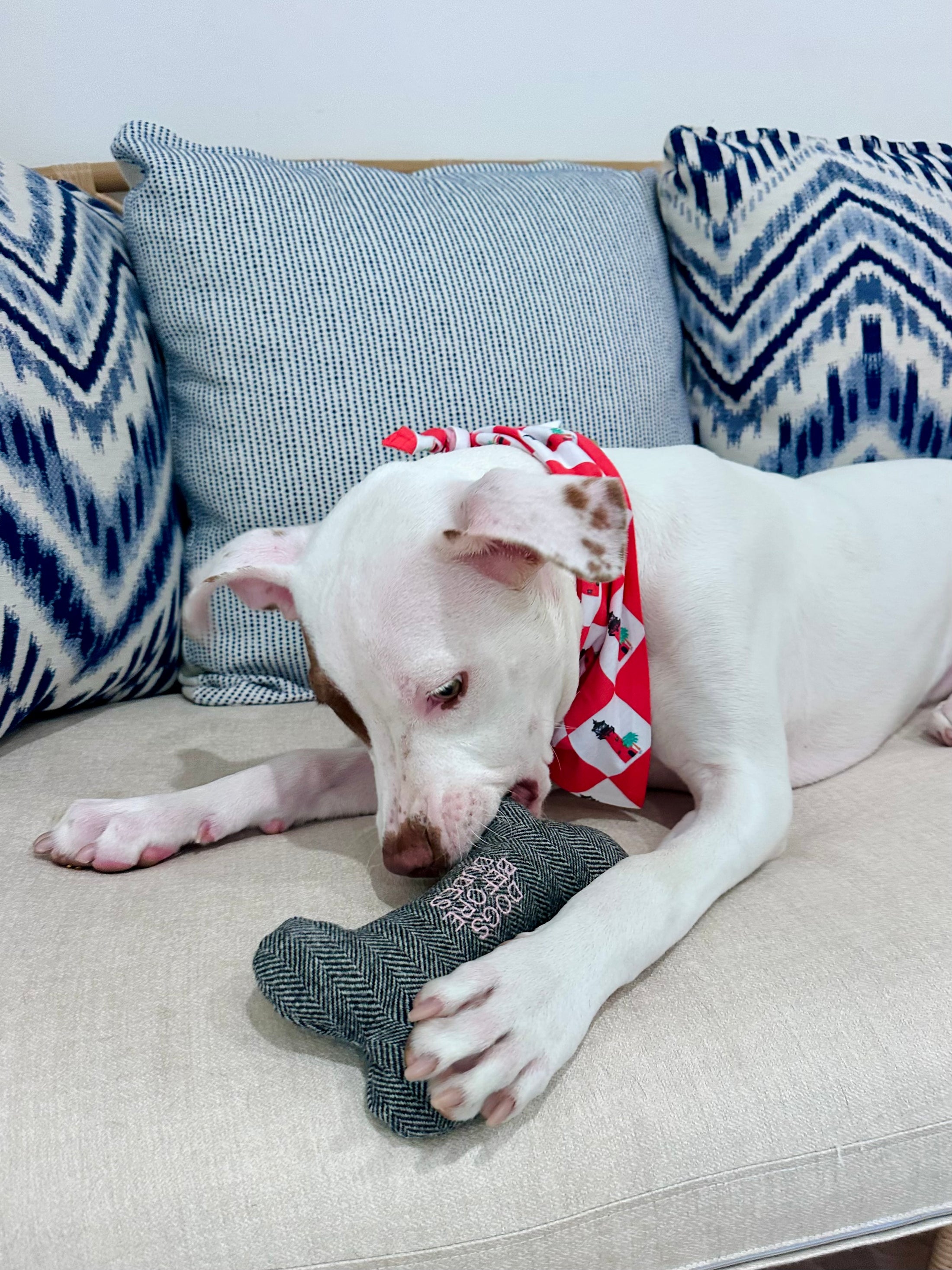 DOGS BEFORE DUDES | Embroidered Dog Bone Toy