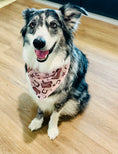 Load image into Gallery viewer, Brown Classic Country | Cooling Bandana
