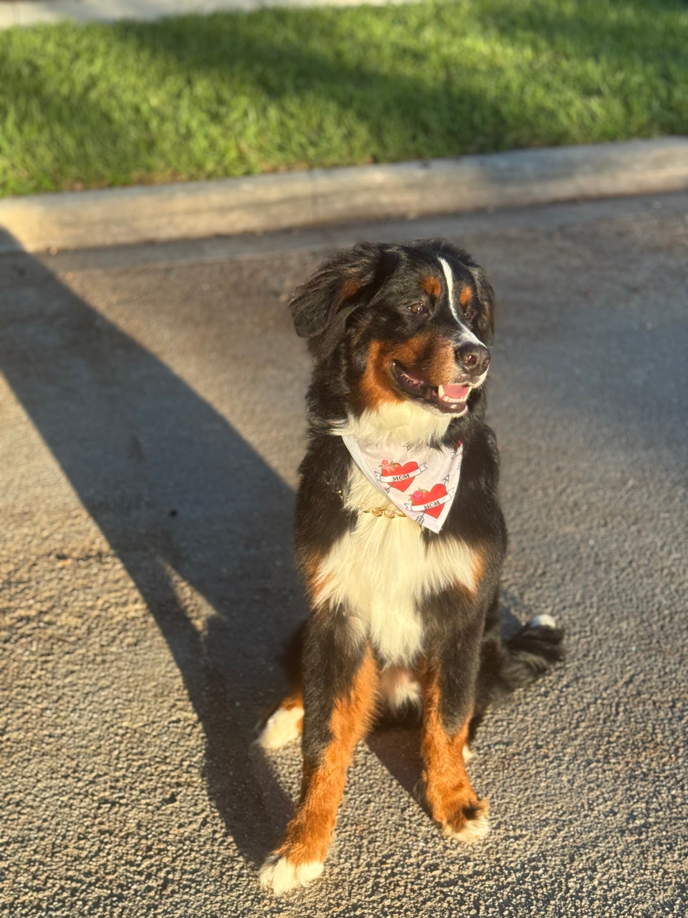 Mom Tattooed on My Heart | Cooling Bandana