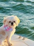 Load image into Gallery viewer, Pretty in Pink Cabana | Cooling Bandana
