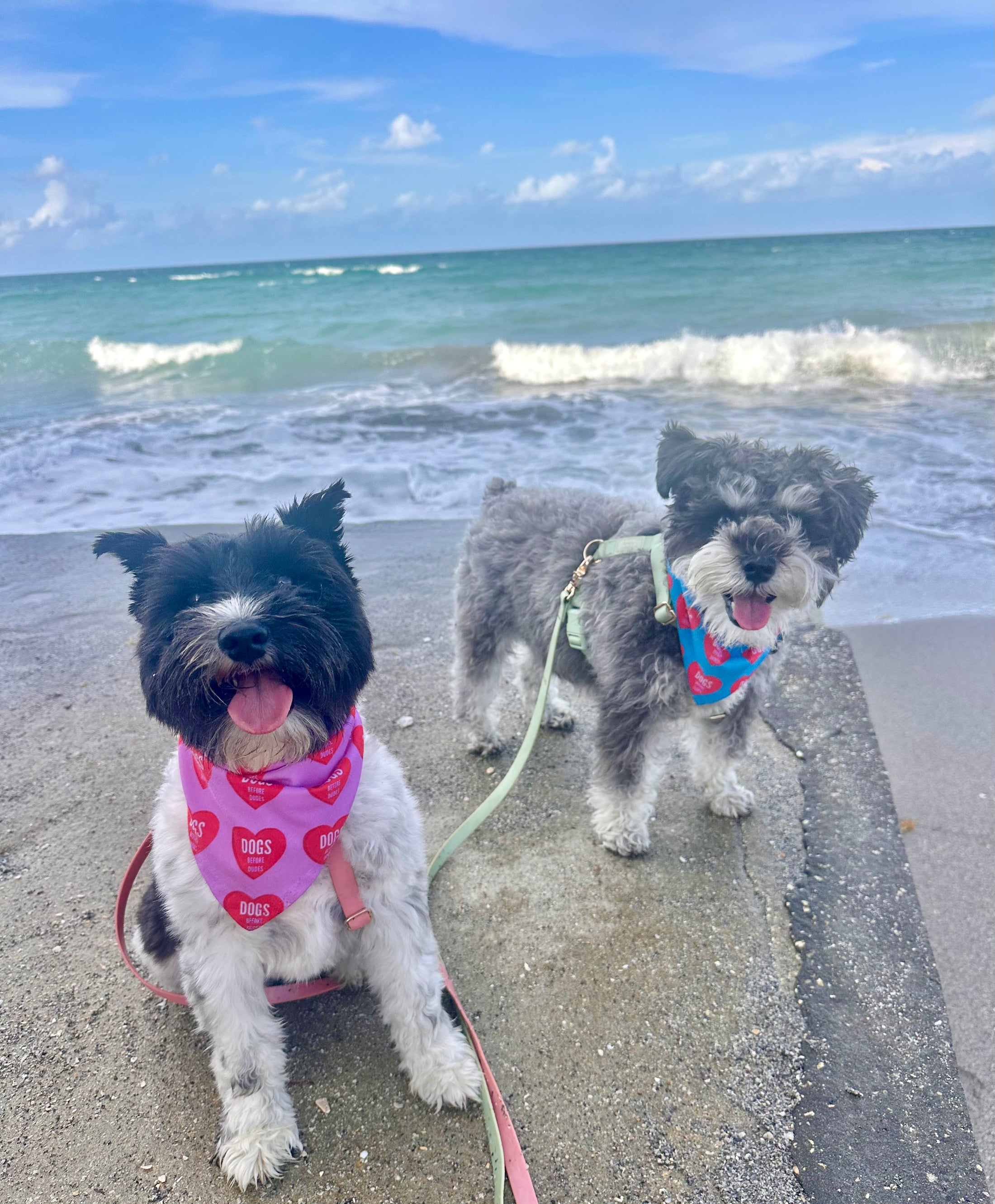 Signature Pink DOGS BEFORE DUDES | Cooling Bandana
