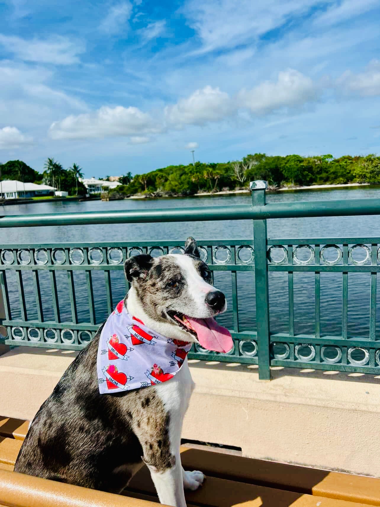 Mom Tattooed on My Heart | Cooling Bandana