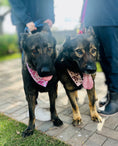 Load image into Gallery viewer, Brown Classic Country | Cooling Bandana
