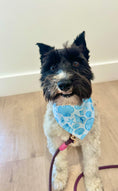 Load image into Gallery viewer, Coastal Blue Seashells | Cooling Bandana

