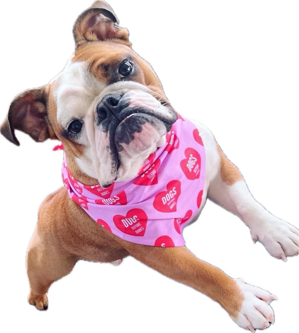 DOGS BEFORE DUDES | Dog Bandana