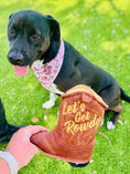 Load image into Gallery viewer, Brown Classic Country | Cooling Bandana
