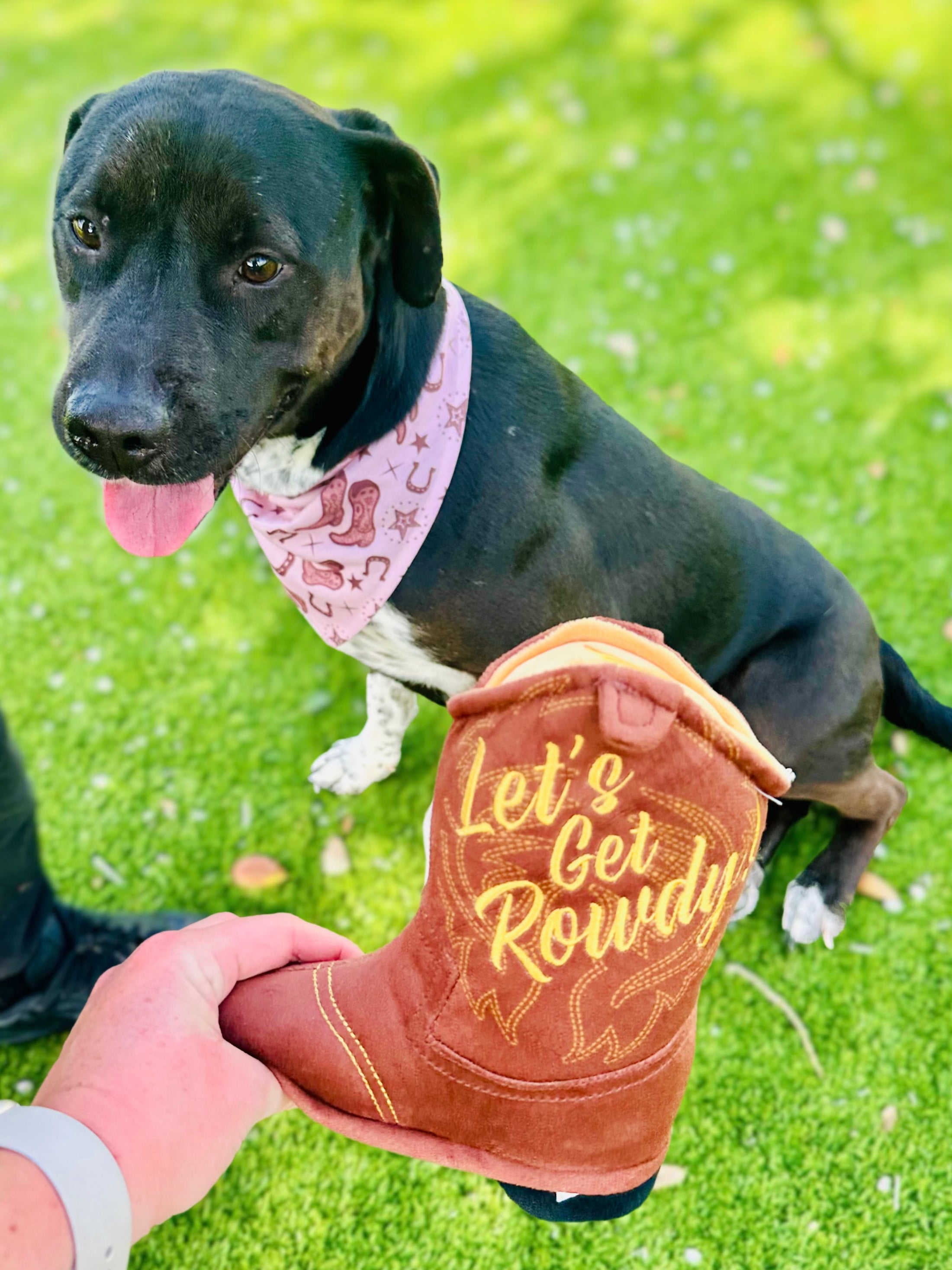 Brown Classic Country | Cooling Bandana