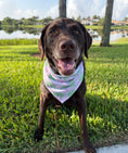 Load image into Gallery viewer, Tropical Palms | Bandana
