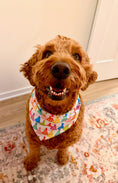 Load image into Gallery viewer, Party Hats | Cooling Bandana
