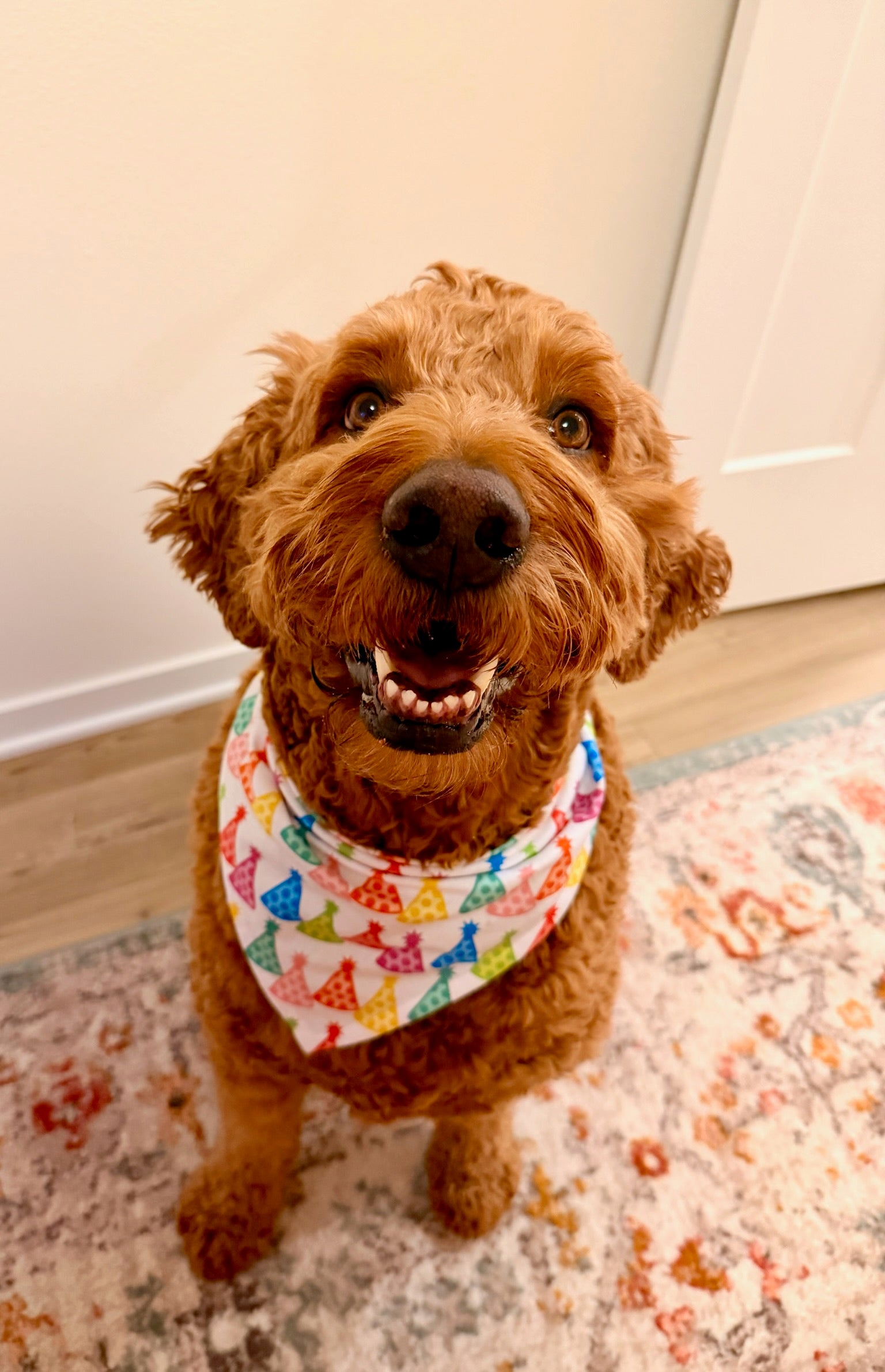 Party Hats | Cooling Bandana