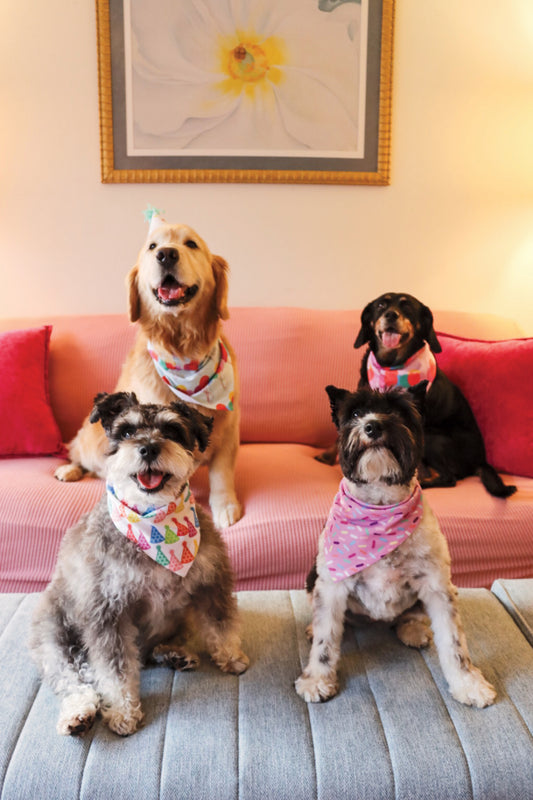 Party Hats | Cooling Bandana