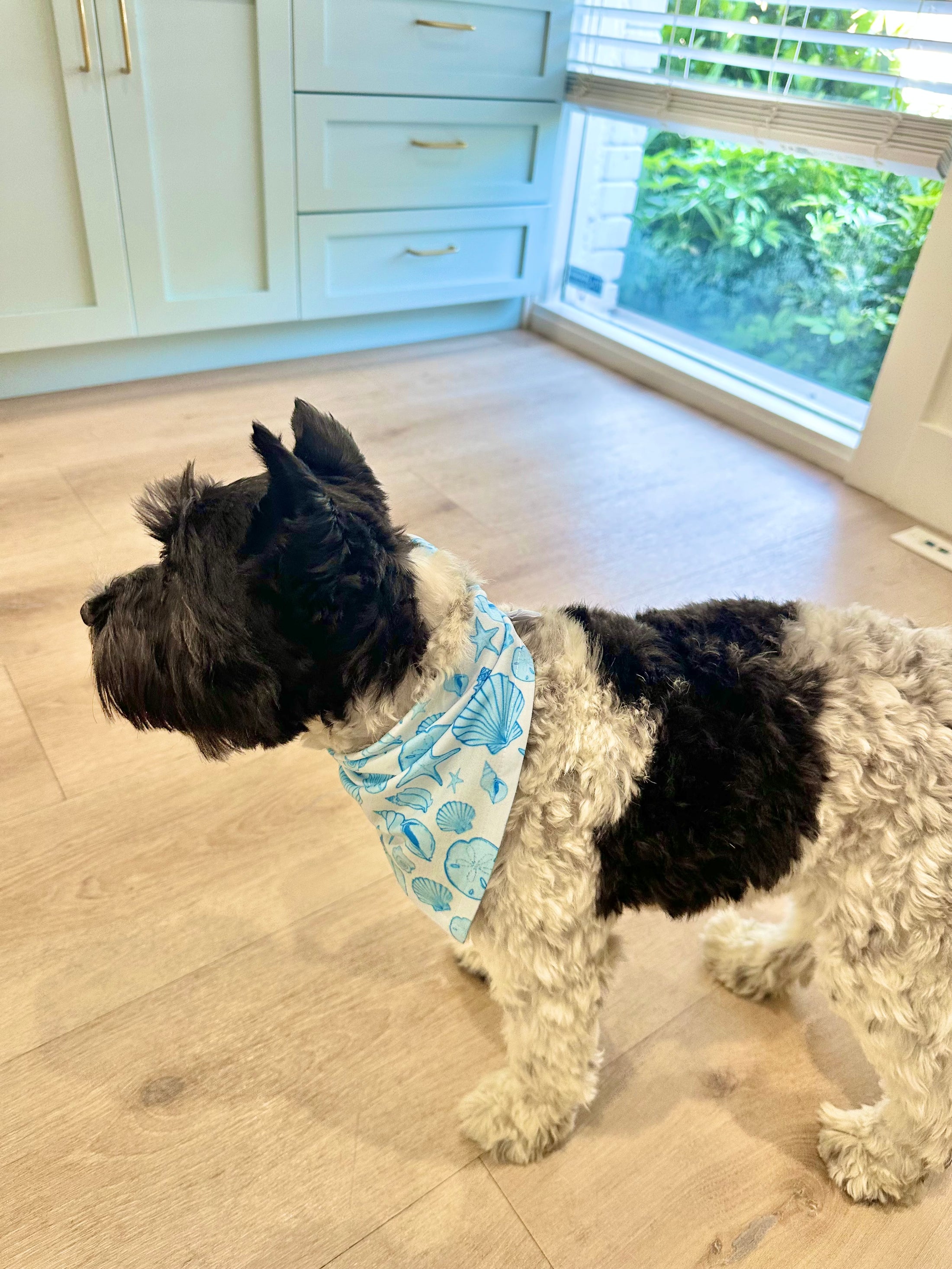 Coastal Blue Seashells | Cooling Bandana