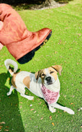 Load image into Gallery viewer, Brown Classic Country | Dog Bandana
