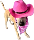 Load image into Gallery viewer, Pretty in Pink Country | Dog Bandana
