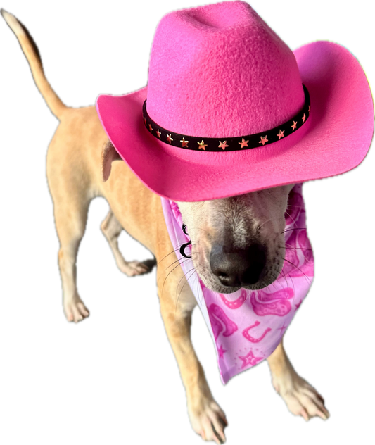 Pretty in Pink Country | Dog Bandana