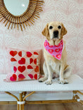 Load image into Gallery viewer, DOGS BEFORE DUDES | Dog Bandana
