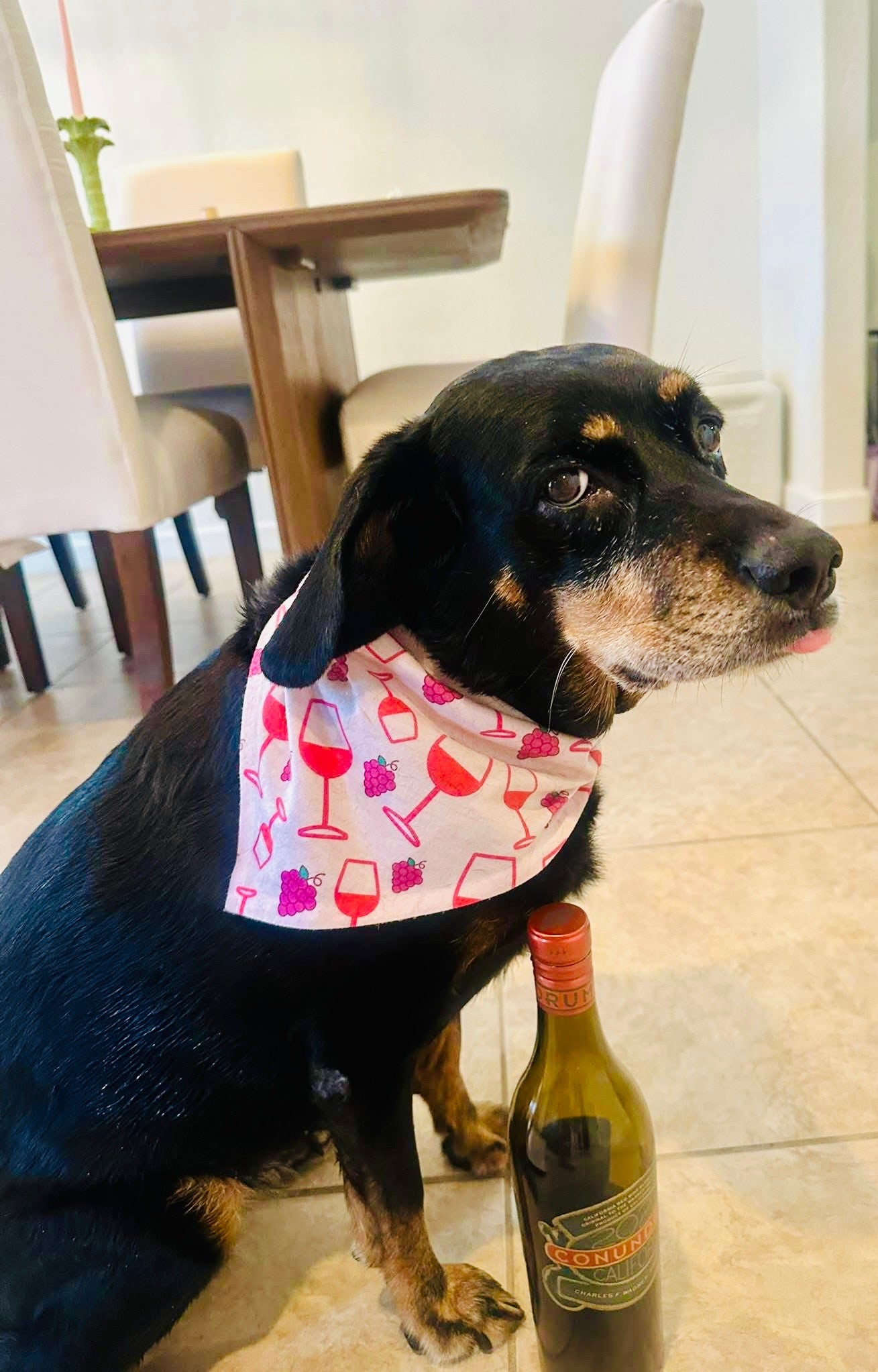 Red Wine Ready | Dog Bandana
