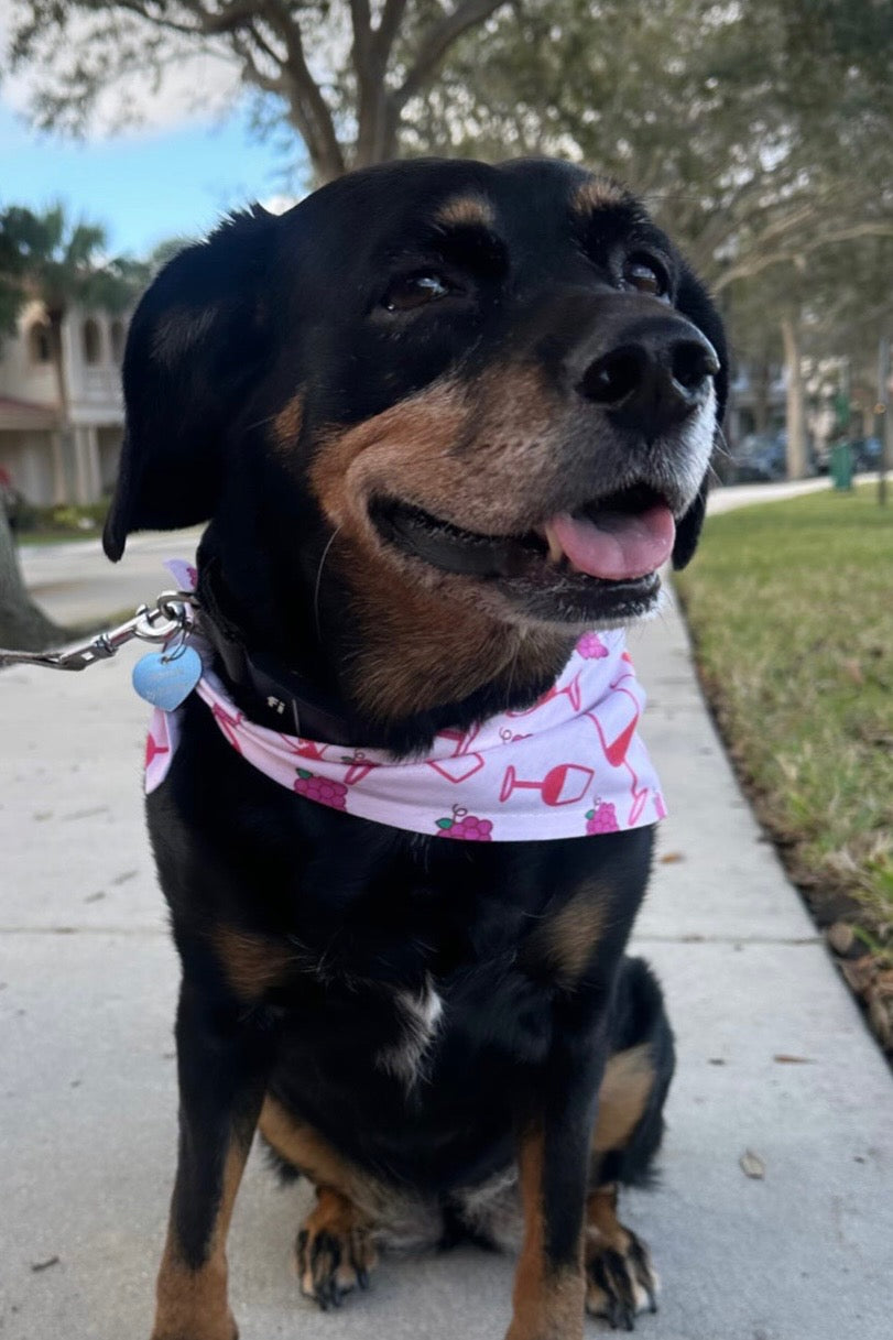 Red Wine Ready | Dog Bandana